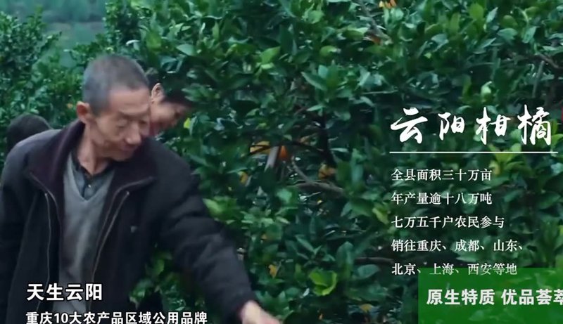云阳农业网:智慧农业时代的引领者